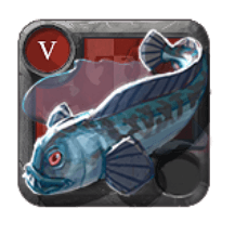 Spotted Wolffish