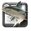 Steelscale Swordfish